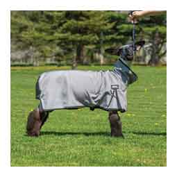 Ewe Canvas Blanket w/ High Cut Mesh Butt Item # 50985