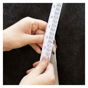 Weight Measuring Tape for Horses Item # 51436
