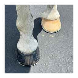 EasyShoe Roller Horseshoe - Front Item # 51522