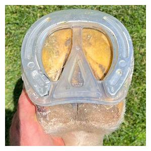 EasyShoe Roller Front Horseshoes Item # 51522