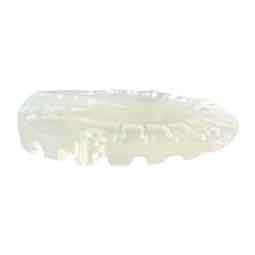 EasyShoe Adapter Clog Item # 51546