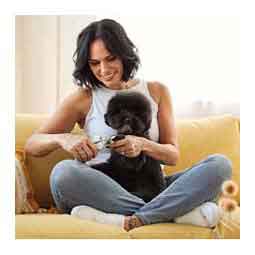 Pet Grooming Small Nail Clipper Item # 51933