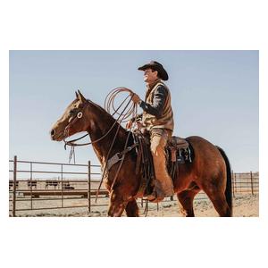 STS Ranch 5/8-in Harness Leather Split Horse Reins with Pineapple Knots Item # 52133