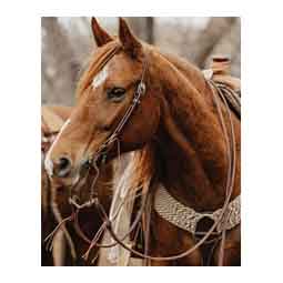 STS Ranch 1/2-in Latigo Leather Split Horse Reins with Pineapple Knots Item # 52134