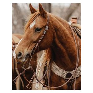 STS Ranch 1/2-in Latigo Leather Split Horse Reins with Pineapple Knots Item # 52134