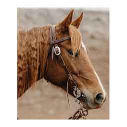 STS Ranch 3/4-in Harness Leather Browband Horse Headstall Item # 52142