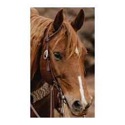 STS Ranch 3/4-in Harness Leather Sliding Ear Horse Headstall Item # 52146
