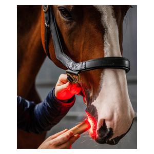 LED Red Light Therapy Wand for Animals Item # 52257