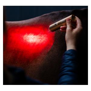 LED Red Light Therapy Wand for Animals Item # 52257