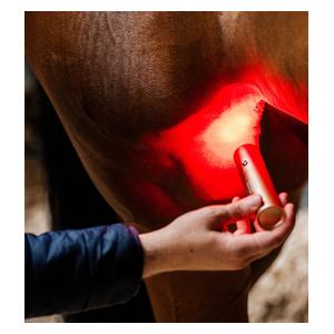 LED Red Light Therapy Wand for Animals Item # 52257