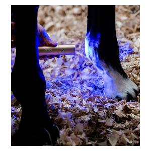 LED Red Light Therapy Wand for Animals Item # 52257