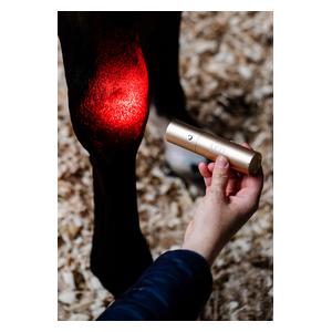 LED Red Light Therapy Wand for Animals  Horseware Ireland