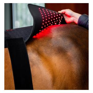 LED Red Light Therapy Pad for Horses Item # 52258