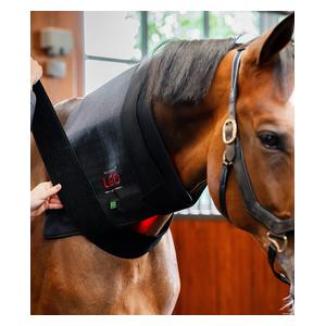 LED Red Light Therapy Pad for Horses Item # 52258