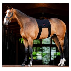 LED Red Light Therapy Pad for Horses Item # 52258