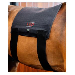 LED Red Light Therapy Pad for Horses Item # 52258