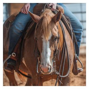 Heavy Latigo Doubled and Stitched Split Horse Reins Item # 52564