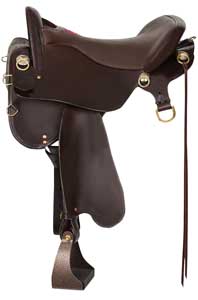 Win This Saddle