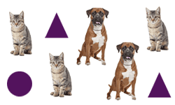 Various shapes and animals.