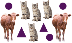 Various shapes and animals.