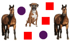 Various shapes and animals.