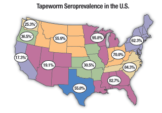 Tapeworm Map