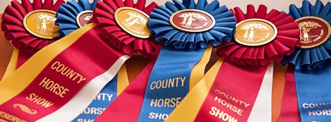 Horse Show Checklist Horse Show Checklist