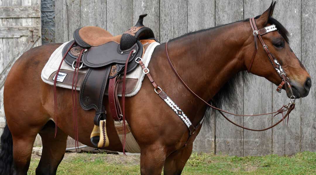 western saddle