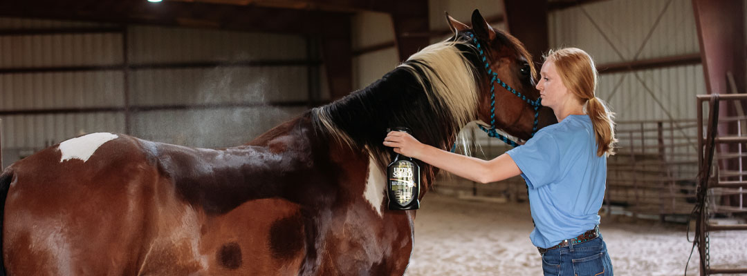 Managing Insect Bite Hypersensitivity in Horses Managing Insect Bite Hypersensitivity in Horses