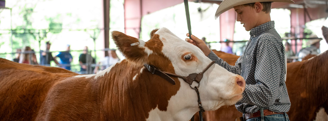 Wess Richy’s Cattle Prep Picks Wess Richy’s Cattle Prep Picks