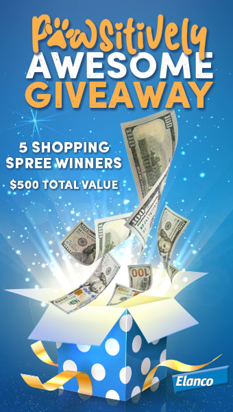 Pawsitively Awesome Sweepstakes
