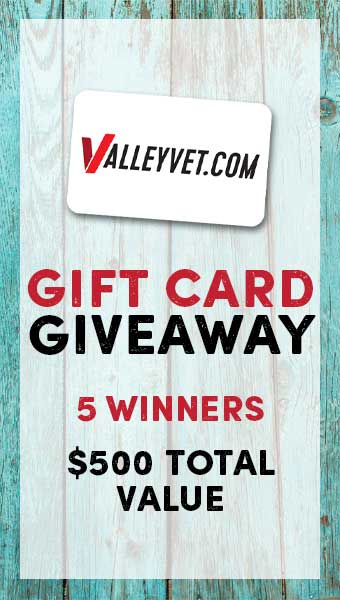 Gift Card Giveaway