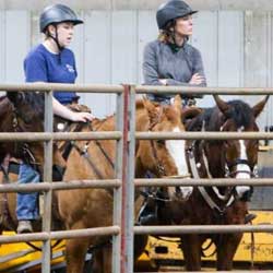 Leslie Barrel Racer