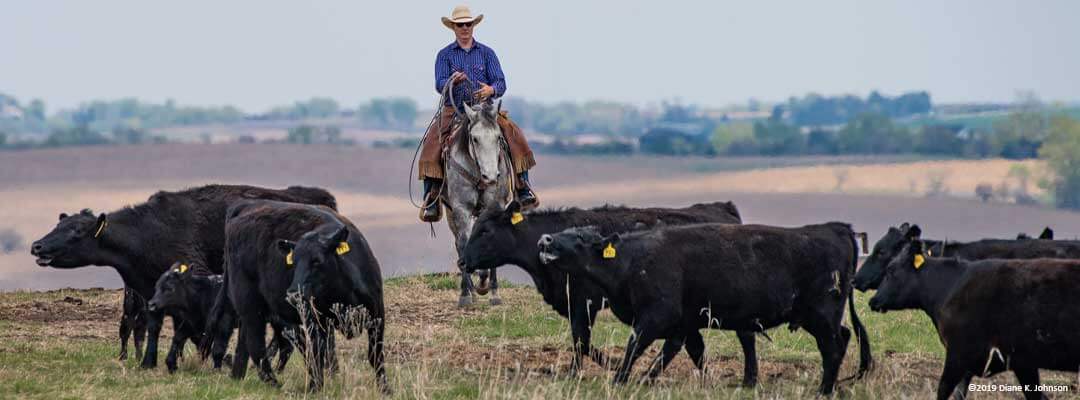5 Fall Favorites for Horsemen 5 Fall Favorites for Horsemen