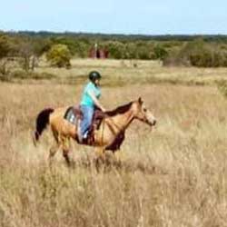 Why Wear A Helmet Chakara Trail Rider