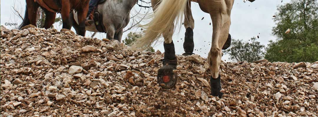 Cavallo Hoof Boots