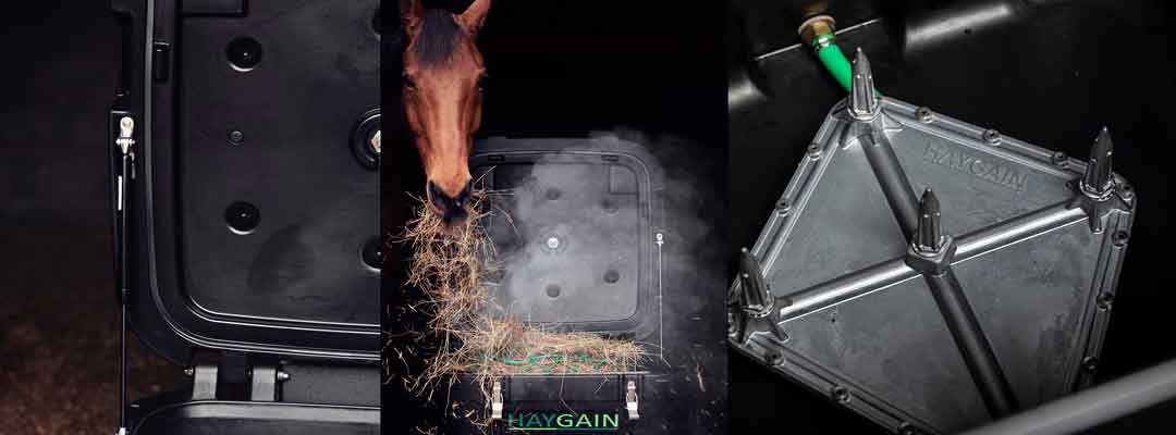 Equine Assthma
