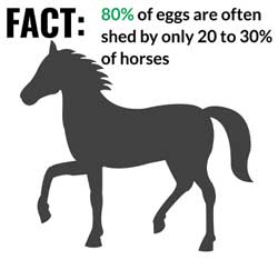 Worm Fact Worm Fact