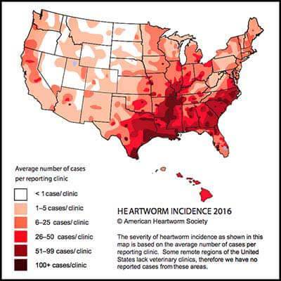 Heartworm Incidence 2016 Map