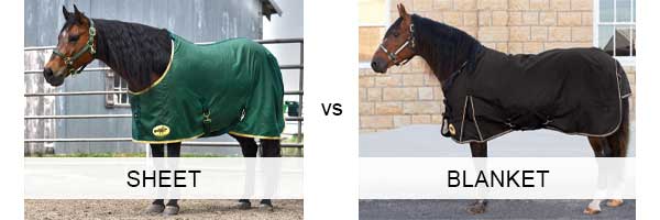 Horse Sheet vs Blanket Horse Sheet vs Blanket