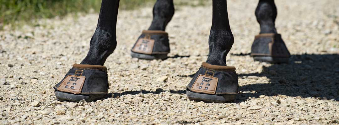 Economical Horse Hoof Boots
