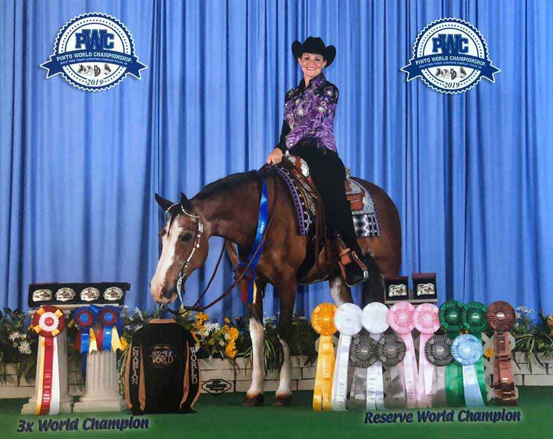 Senior Show Horse Senior Show Horse