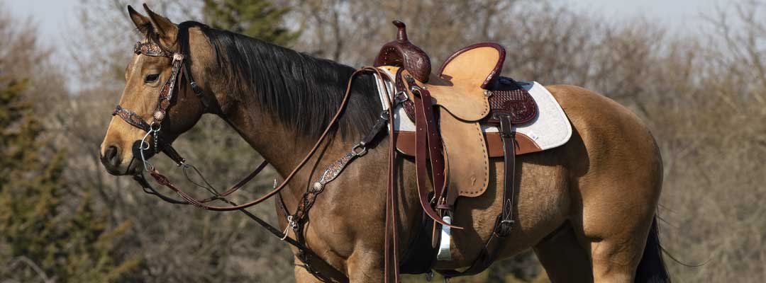 Western Saddle Q&A