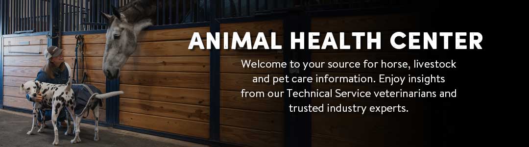 Animal Health Education