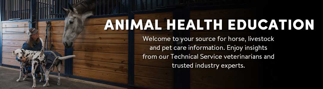 Animal Health Center