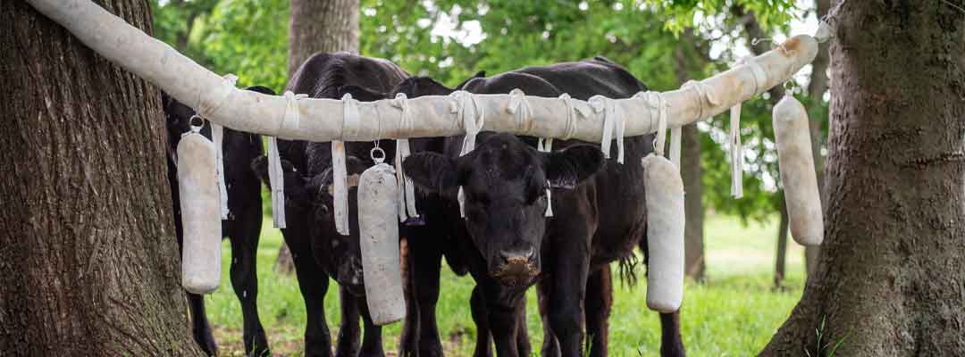 Cattle Rub Insecticide Chart