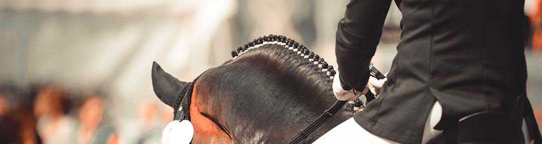 dressage tack and sport horse supplements