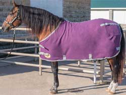 Fleece Horse Sheet