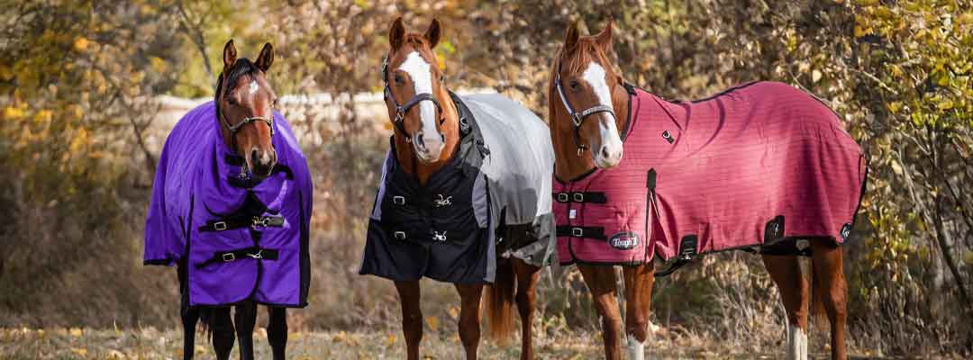 Horse Blanketing Guide