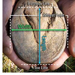 Horse Hoof Boot Size Chart